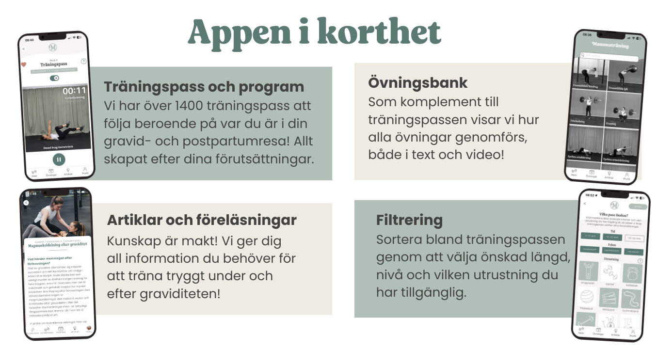 dator-hur-funkar-appen-mammatraning-gravid-postpartum-app-traning dator-hur-funkar-appen-mammatraning-gravid-postpartum-app-traning